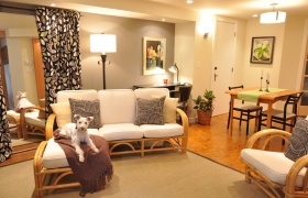 ed_basement_suite_living_room